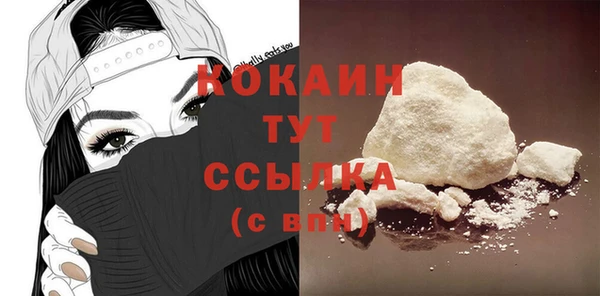 шишки Бородино