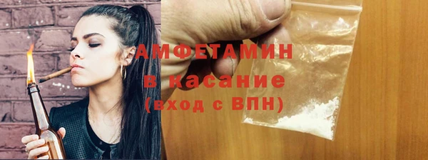 шишки Бородино