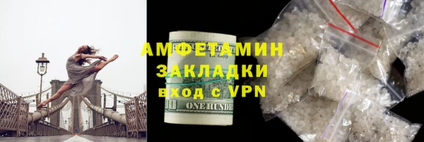 шишки Бородино