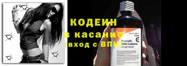 шишки Бородино