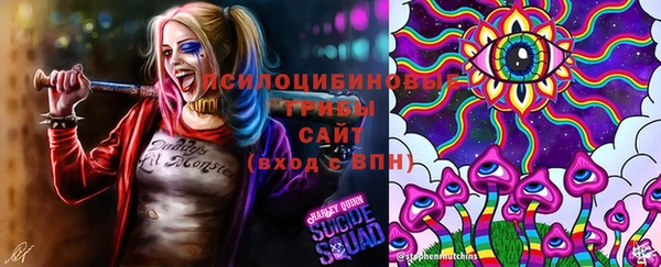 тгк Бронницы