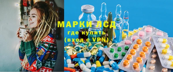 шишки Бородино