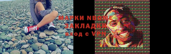 шишки Бородино