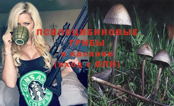 шишки Бородино