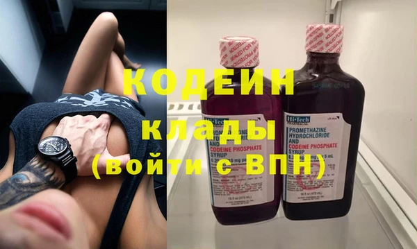 шишки Бородино