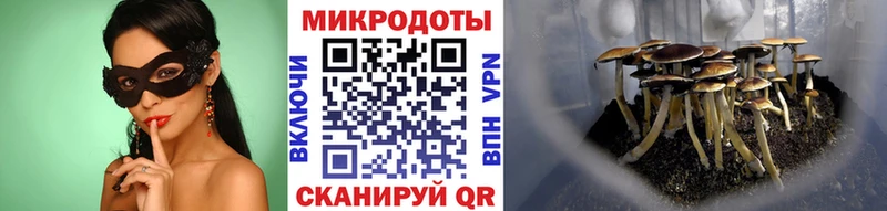 Галлюциногенные грибы мухоморы  Тольятти 