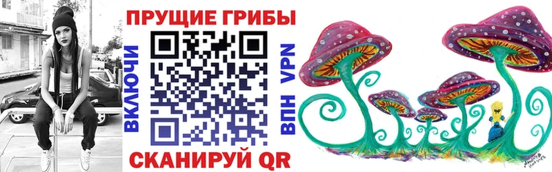 Псилоцибиновые грибы Cubensis Тольятти
